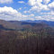 Blueridge Spring