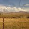 Colorado