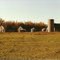 Abandoned Farm Near Wheatland