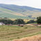 Harvest beneath Pikes Peak