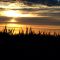 Wheat and Sundown