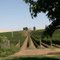 Walla Walla Vintners