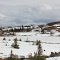 Caribou lodge trip photo
