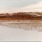 Lake Area