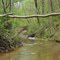 County Line Creek