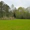 Green Field