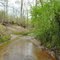 County Line Creek