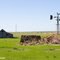 Abandoned farmstead