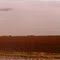 Farmland in the Red River Valley