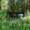 Bridge over the creek