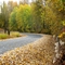 Fall day near Thrall Washington