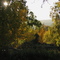 Riverbottom