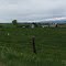 Ellensburg, WA in May