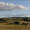 Old homestead off Durr Road - 201306LJW