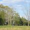 Rural Chambers County