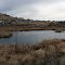The Springs of "Meadow Springs"