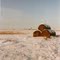 Bales in Winter