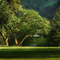 Two trees at the Wenatchee County Park