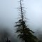 Devil's Spur Trail