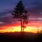 sunset on beehive liberty rd.