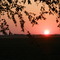 Summer sunset