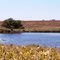 Marcie's Pond