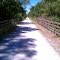 Homestead Trail - Bridge 12