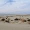DROUGH.LAKE McCONAUGHY,OGALLALA, NEBRASKA,USA.