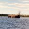 Lake Ogallala,Nebraska.USA.
