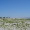 Martin Bay Desert 2004