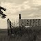 Gothenburg, NE: Lindberg Cemetery, north of town