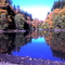 Ellis Cove, Priest Point Park, Olympia WA Fall 2007