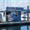 Boston Harbor Marina and Fuel Dock