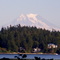 Mt. Ranier from Frye Cove Park