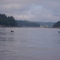 Loons on Squaxin Passage
