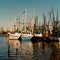 Shrimp boats, Bayou La Batre, Alabama, feb 17, 1994.