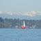 Sailing on Budd Inlet