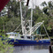 Shrimpping boat