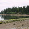 Low tide at Frye Cove - sept 05