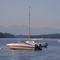 Looking north past Hunter Point
