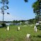 Roberts Cemetery ~ Fowl River ~ Mobile County ~ Alabama