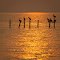 Jemison's sunrise