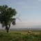 landscape near Broadwater, NE
