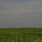 landscape near Broadwater, NE