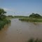 North Platte River near Broadwater, NE