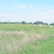 Landscape of ecologic farm