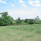 Landscape of biodynamic farm