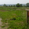 Common Good Farm