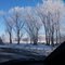 Frosty morning