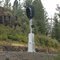 RR signal